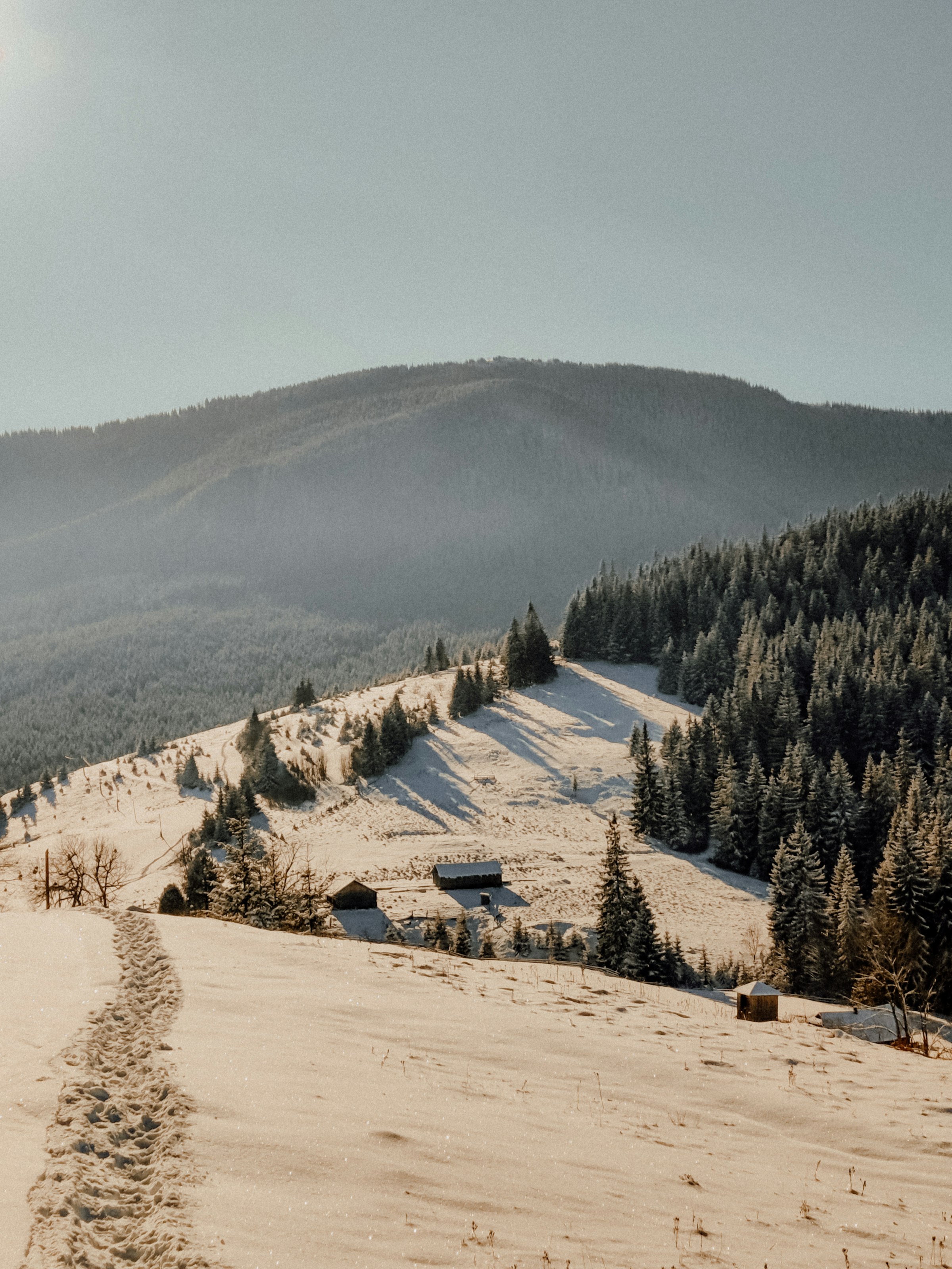 Silver Ridge mountain landscape